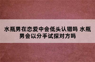 水瓶男在恋爱中会低头认错吗 水瓶男会以分手试探对方吗